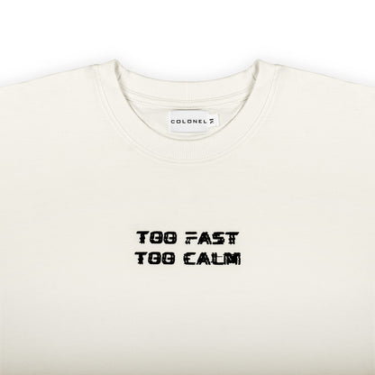Too Fast Too Calm Heavyweight Tshirt oversize fit